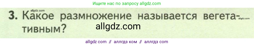 Биология, 6 класс Учебник, авторы: Пасечник Владимир Васильевич, Суматохин Сергей Витальевич, Гапонюк Зоя Георгиевна, Швецов Глеб Геннадьевич, издательство Просвещение, Москва, 2023, белого цвета, страница 136, номер 3, Условие