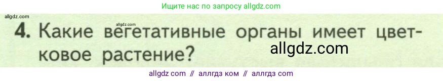 Биология, 6 класс Учебник, авторы: Пасечник Владимир Васильевич, Суматохин Сергей Витальевич, Гапонюк Зоя Георгиевна, Швецов Глеб Геннадьевич, издательство Просвещение, Москва, 2023, белого цвета, страница 136, номер 4, Условие