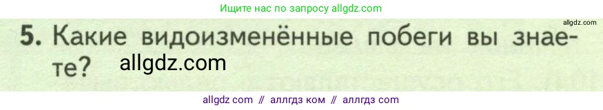 Биология, 6 класс Учебник, авторы: Пасечник Владимир Васильевич, Суматохин Сергей Витальевич, Гапонюк Зоя Георгиевна, Швецов Глеб Геннадьевич, издательство Просвещение, Москва, 2023, белого цвета, страница 136, номер 5, Условие