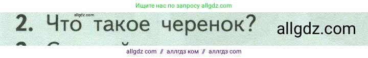 Биология, 6 класс Учебник, авторы: Пасечник Владимир Васильевич, Суматохин Сергей Витальевич, Гапонюк Зоя Георгиевна, Швецов Глеб Геннадьевич, издательство Просвещение, Москва, 2023, белого цвета, страница 142, номер 2, Условие