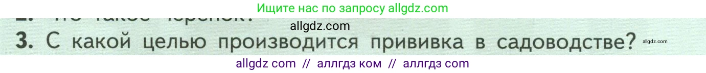 Биология, 6 класс Учебник, авторы: Пасечник Владимир Васильевич, Суматохин Сергей Витальевич, Гапонюк Зоя Георгиевна, Швецов Глеб Геннадьевич, издательство Просвещение, Москва, 2023, белого цвета, страница 142, номер 3, Условие