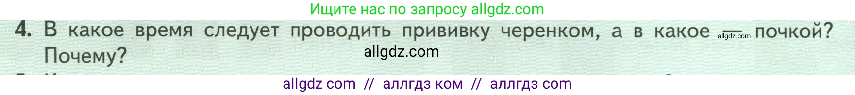 Биология, 6 класс Учебник, авторы: Пасечник Владимир Васильевич, Суматохин Сергей Витальевич, Гапонюк Зоя Георгиевна, Швецов Глеб Геннадьевич, издательство Просвещение, Москва, 2023, белого цвета, страница 142, номер 4, Условие