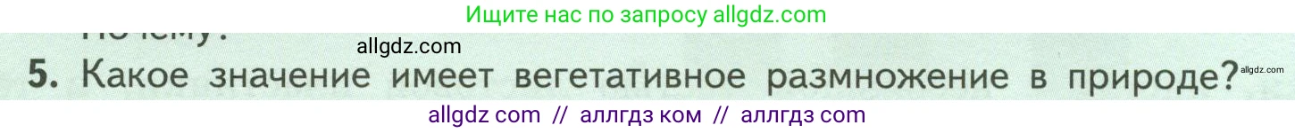 Биология, 6 класс Учебник, авторы: Пасечник Владимир Васильевич, Суматохин Сергей Витальевич, Гапонюк Зоя Георгиевна, Швецов Глеб Геннадьевич, издательство Просвещение, Москва, 2023, белого цвета, страница 142, номер 5, Условие