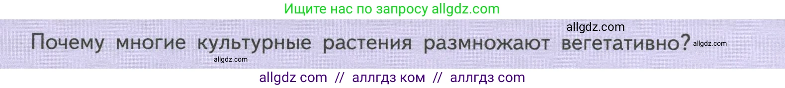 Биология, 6 класс Учебник, авторы: Пасечник Владимир Васильевич, Суматохин Сергей Витальевич, Гапонюк Зоя Георгиевна, Швецов Глеб Геннадьевич, издательство Просвещение, Москва, 2023, белого цвета, страница 142, Условие