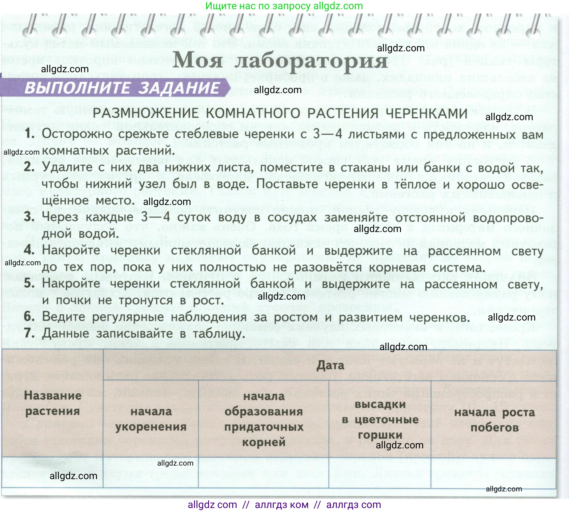 Биология, 6 класс Учебник, авторы: Пасечник Владимир Васильевич, Суматохин Сергей Витальевич, Гапонюк Зоя Георгиевна, Швецов Глеб Геннадьевич, издательство Просвещение, Москва, 2023, белого цвета, страница 142, Условие