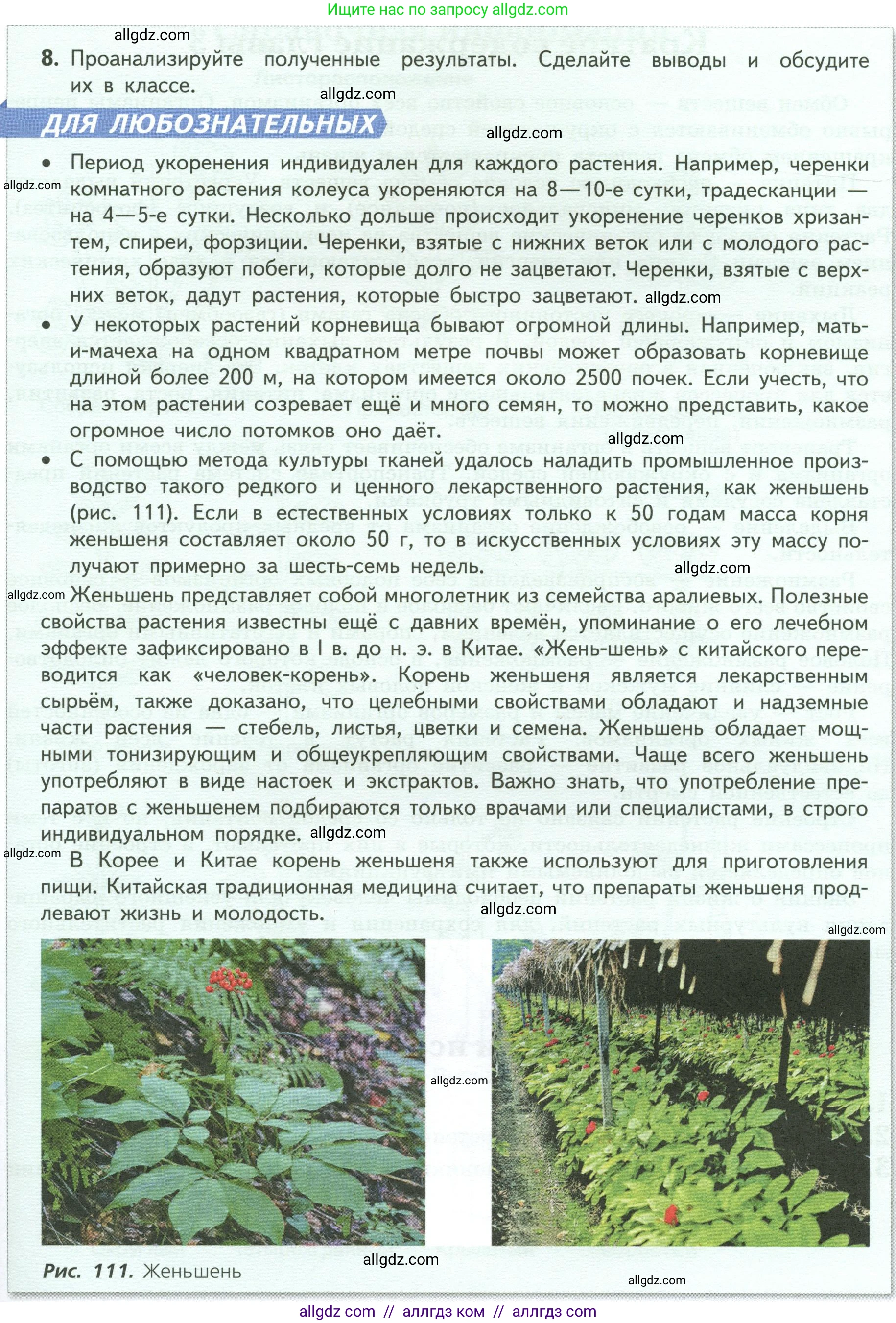 Биология, 6 класс Учебник, авторы: Пасечник Владимир Васильевич, Суматохин Сергей Витальевич, Гапонюк Зоя Георгиевна, Швецов Глеб Геннадьевич, издательство Просвещение, Москва, 2023, белого цвета, страница 142, Условие (продолжение 2)