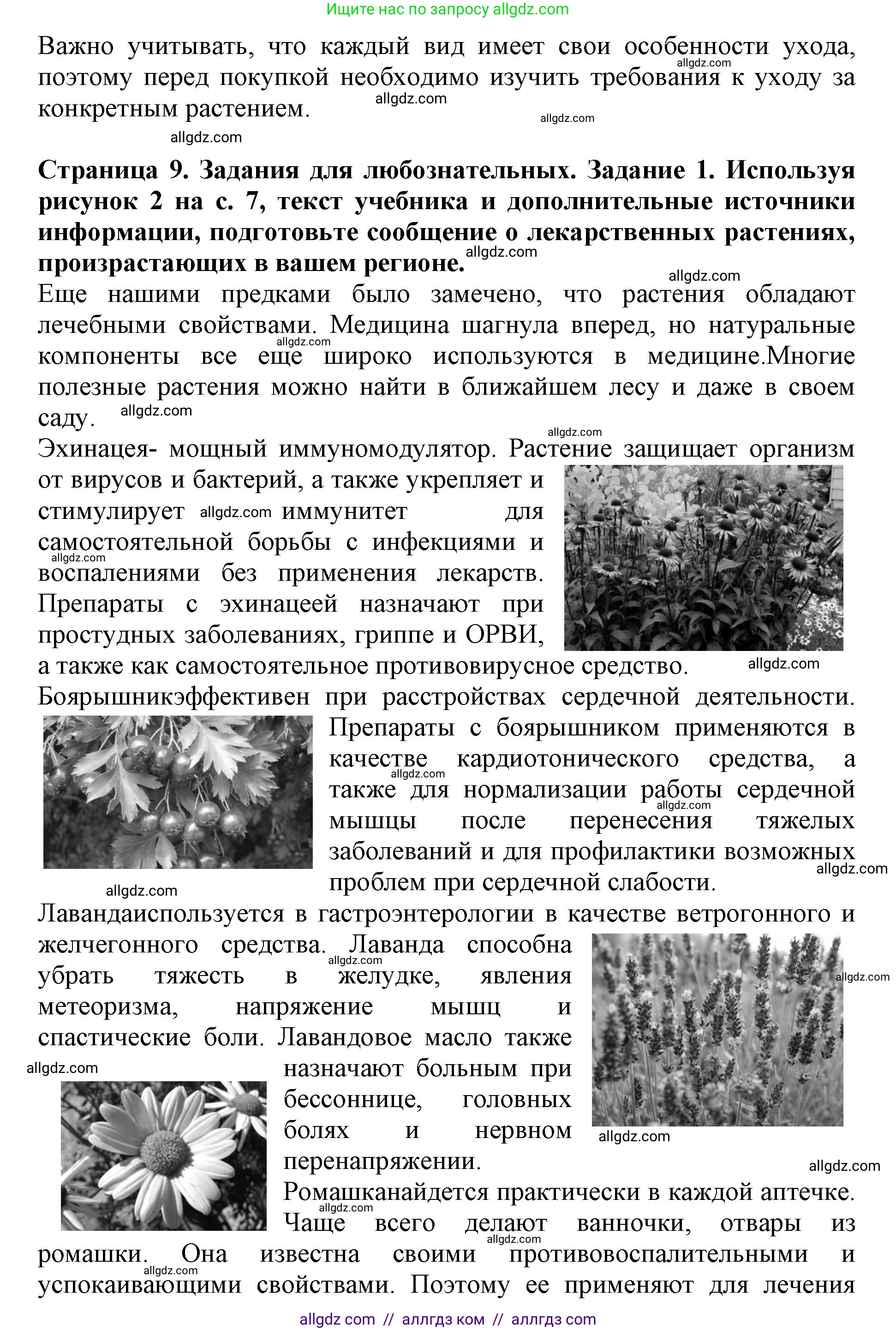 Биология, 6 класс Учебник, авторы: Пасечник Владимир Васильевич, Суматохин Сергей Витальевич, Гапонюк Зоя Георгиевна, Швецов Глеб Геннадьевич, издательство Просвещение, Москва, 2023, белого цвета, страница 9, Решение 1 (продолжение 5)
