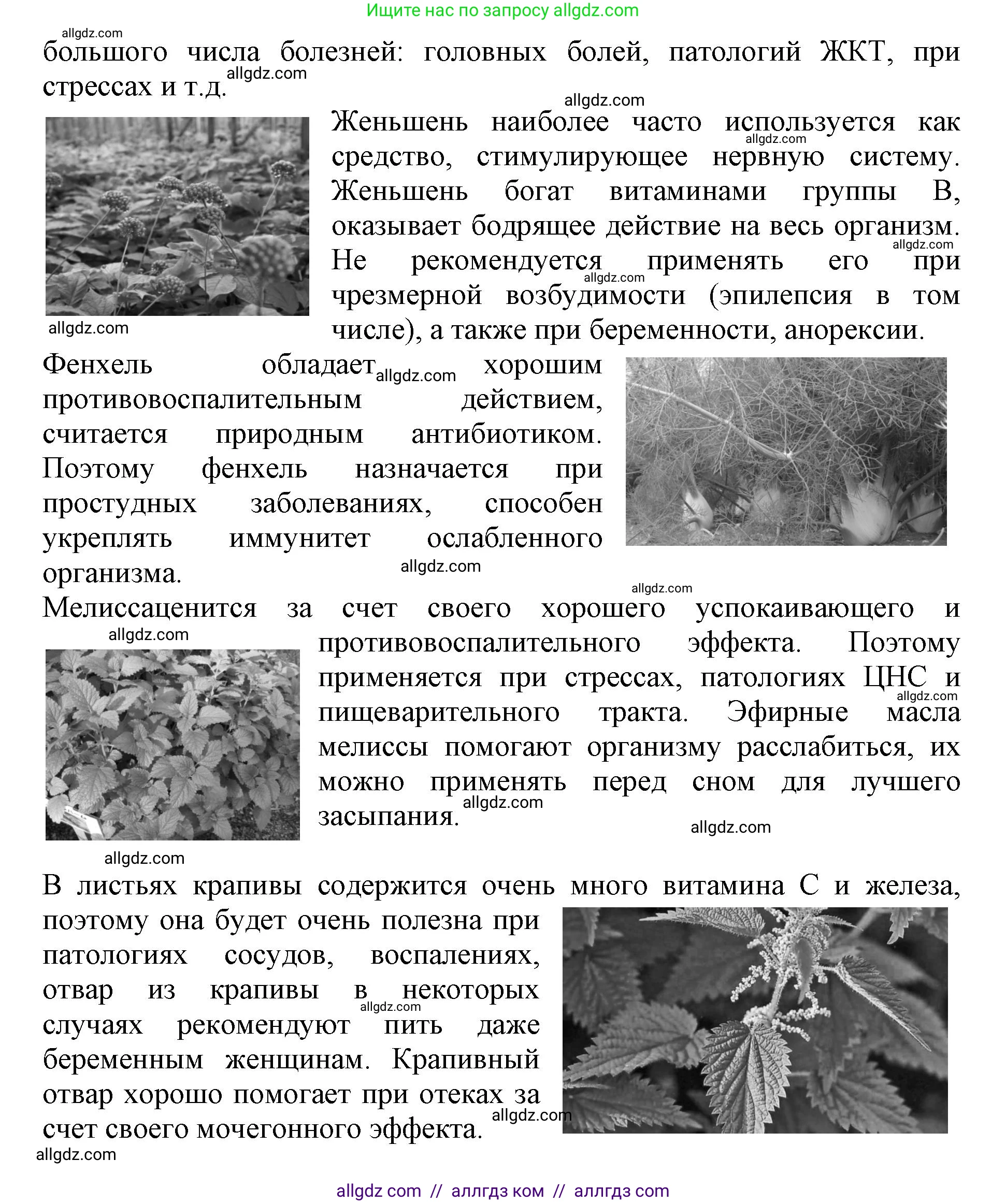 Биология, 6 класс Учебник, авторы: Пасечник Владимир Васильевич, Суматохин Сергей Витальевич, Гапонюк Зоя Георгиевна, Швецов Глеб Геннадьевич, издательство Просвещение, Москва, 2023, белого цвета, страница 9, Решение 1 (продолжение 6)