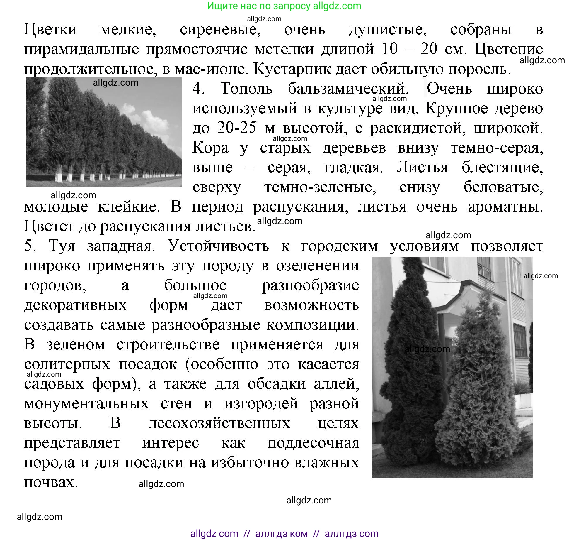Биология, 6 класс Учебник, авторы: Пасечник Владимир Васильевич, Суматохин Сергей Витальевич, Гапонюк Зоя Георгиевна, Швецов Глеб Геннадьевич, издательство Просвещение, Москва, 2023, белого цвета, страница 9, Решение 1 (продолжение 8)