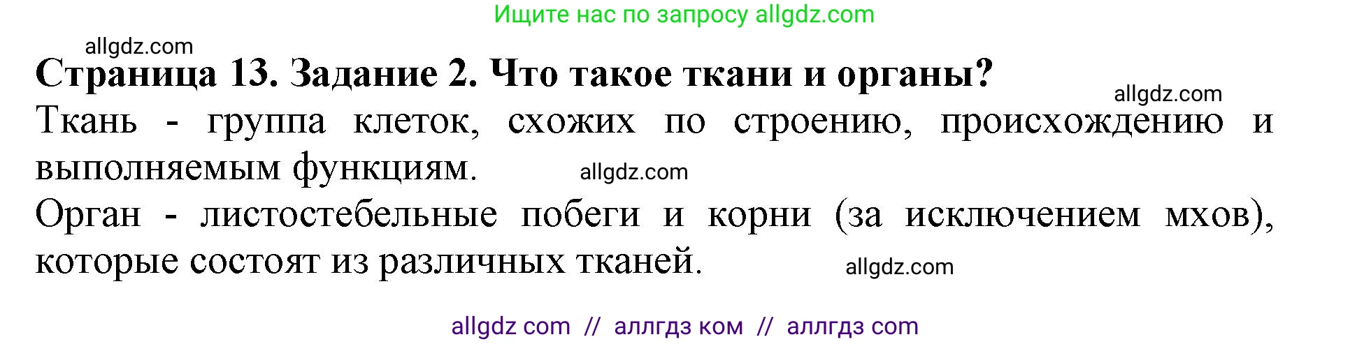 Биология, 6 класс Учебник, авторы: Пасечник Владимир Васильевич, Суматохин Сергей Витальевич, Гапонюк Зоя Георгиевна, Швецов Глеб Геннадьевич, издательство Просвещение, Москва, 2023, белого цвета, страница 13, номер 2, Решение 1