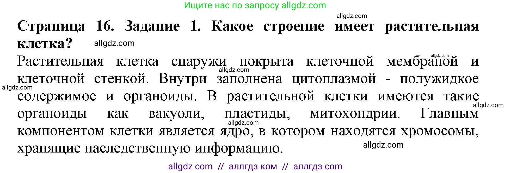 Биология, 6 класс Учебник, авторы: Пасечник Владимир Васильевич, Суматохин Сергей Витальевич, Гапонюк Зоя Георгиевна, Швецов Глеб Геннадьевич, издательство Просвещение, Москва, 2023, белого цвета, страница 16, номер 1, Решение 1