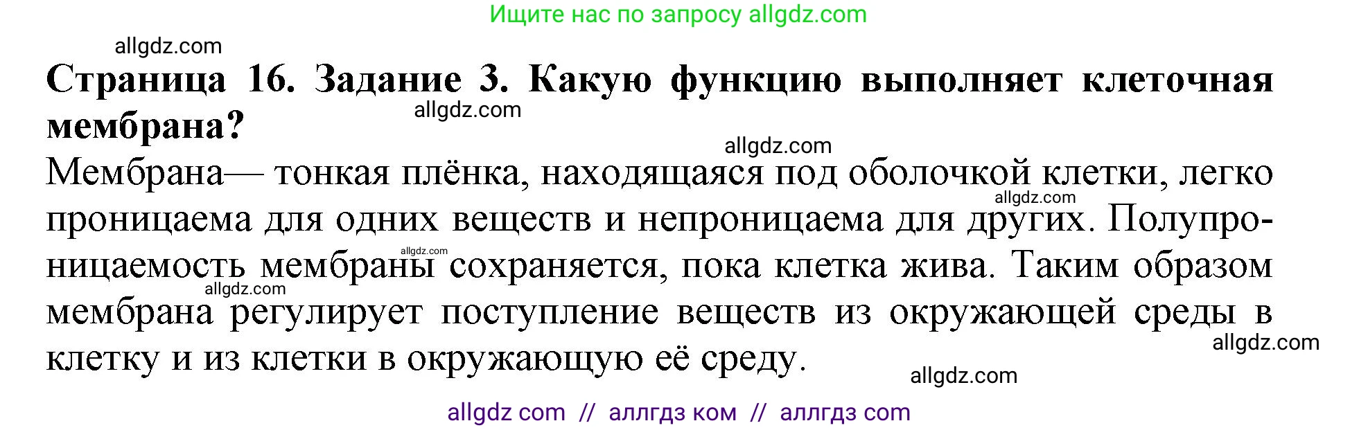 Биология, 6 класс Учебник, авторы: Пасечник Владимир Васильевич, Суматохин Сергей Витальевич, Гапонюк Зоя Георгиевна, Швецов Глеб Геннадьевич, издательство Просвещение, Москва, 2023, белого цвета, страница 16, номер 3, Решение 1
