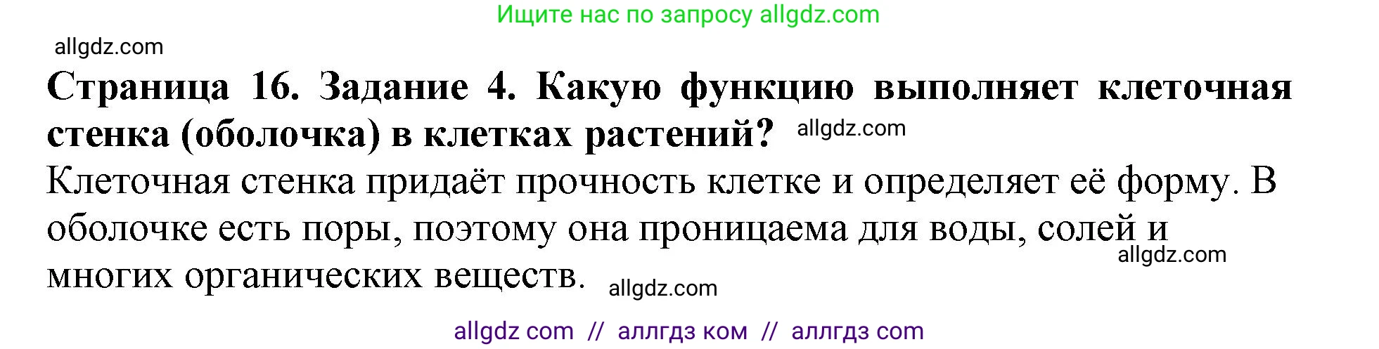 Биология, 6 класс Учебник, авторы: Пасечник Владимир Васильевич, Суматохин Сергей Витальевич, Гапонюк Зоя Георгиевна, Швецов Глеб Геннадьевич, издательство Просвещение, Москва, 2023, белого цвета, страница 16, номер 4, Решение 1
