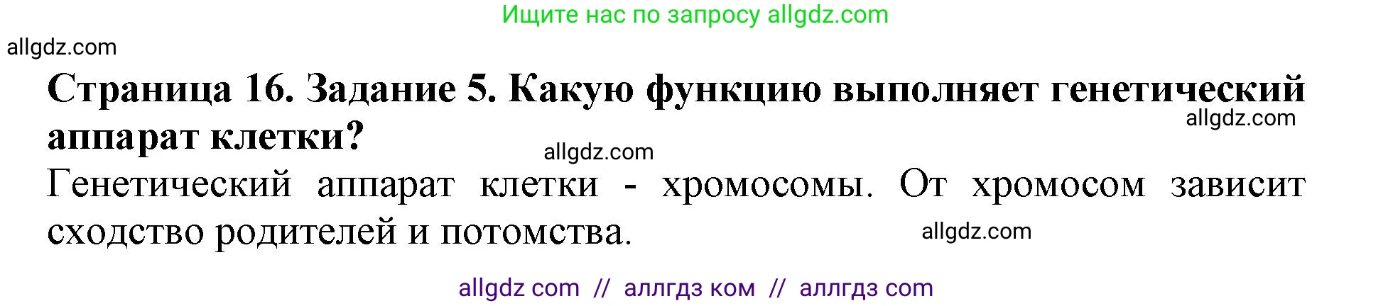 Биология, 6 класс Учебник, авторы: Пасечник Владимир Васильевич, Суматохин Сергей Витальевич, Гапонюк Зоя Георгиевна, Швецов Глеб Геннадьевич, издательство Просвещение, Москва, 2023, белого цвета, страница 16, номер 5, Решение 1