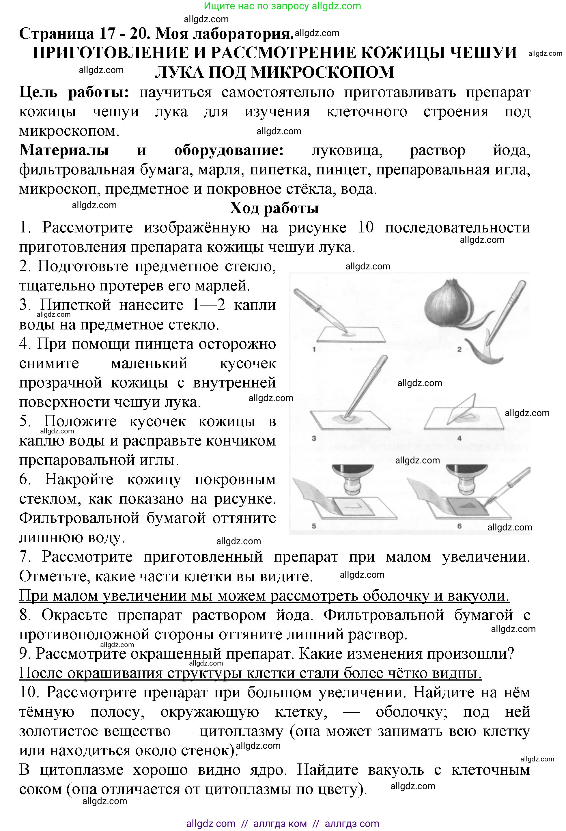 Биология, 6 класс Учебник, авторы: Пасечник Владимир Васильевич, Суматохин Сергей Витальевич, Гапонюк Зоя Георгиевна, Швецов Глеб Геннадьевич, издательство Просвещение, Москва, 2023, белого цвета, страница 17, Решение 1 (продолжение 2)