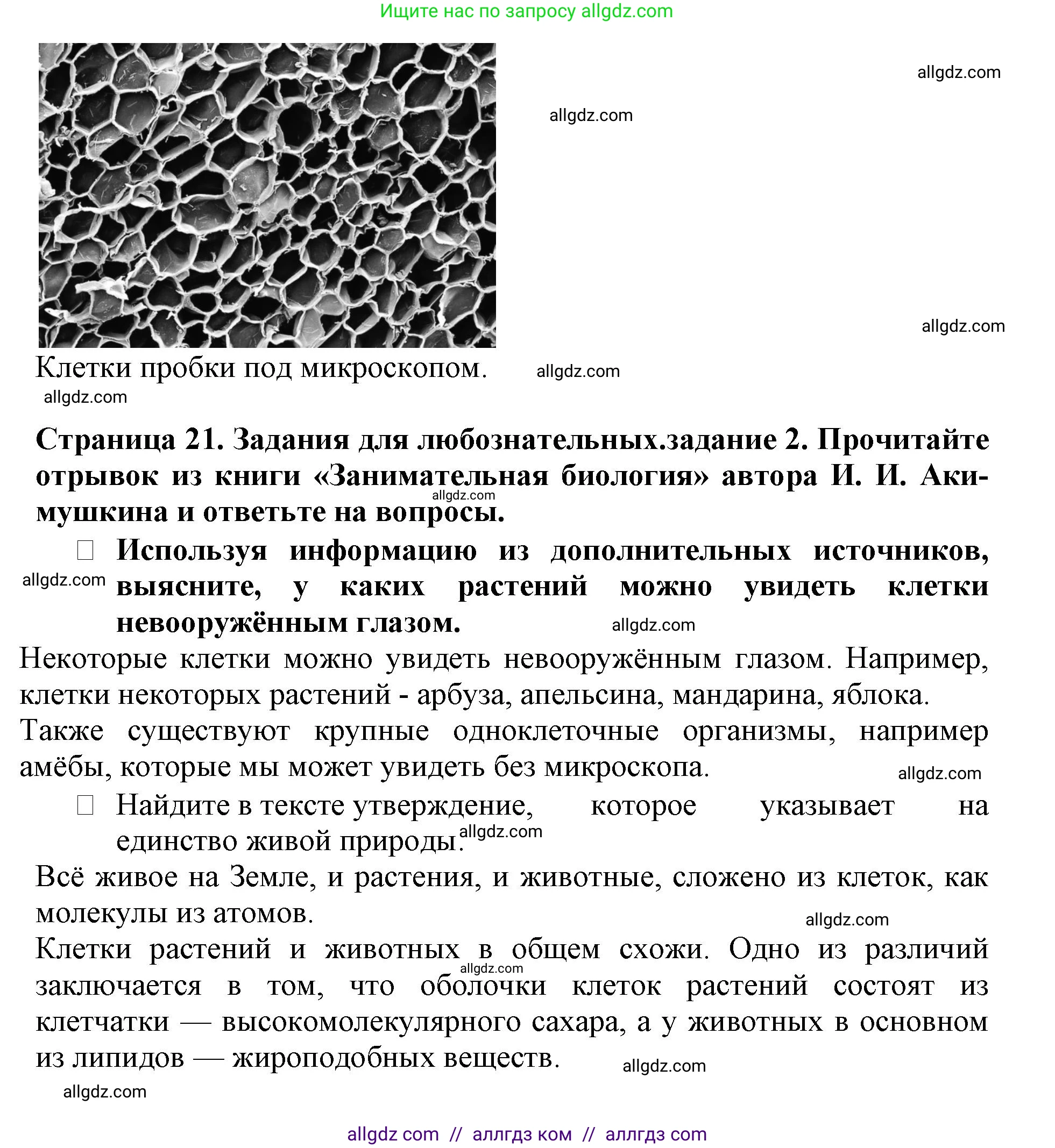 Биология, 6 класс Учебник, авторы: Пасечник Владимир Васильевич, Суматохин Сергей Витальевич, Гапонюк Зоя Георгиевна, Швецов Глеб Геннадьевич, издательство Просвещение, Москва, 2023, белого цвета, страница 17, Решение 1 (продолжение 6)