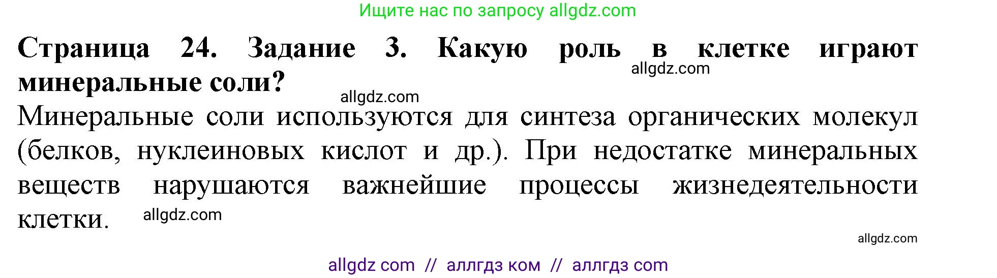 Биология, 6 класс Учебник, авторы: Пасечник Владимир Васильевич, Суматохин Сергей Витальевич, Гапонюк Зоя Георгиевна, Швецов Глеб Геннадьевич, издательство Просвещение, Москва, 2023, белого цвета, страница 24, номер 3, Решение 1