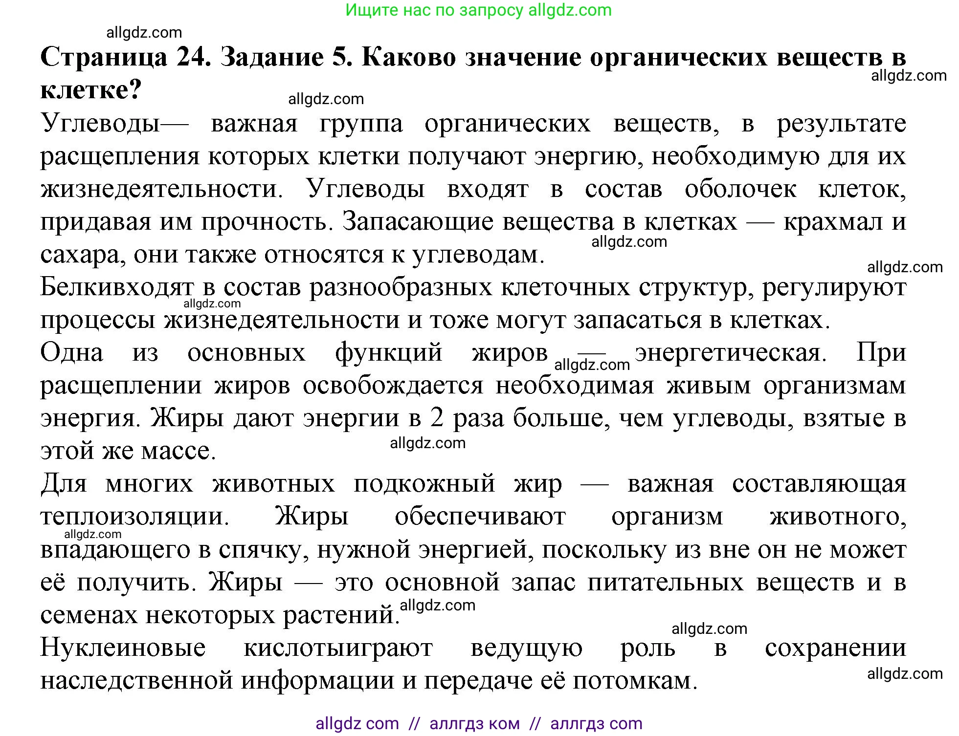 Биология, 6 класс Учебник, авторы: Пасечник Владимир Васильевич, Суматохин Сергей Витальевич, Гапонюк Зоя Георгиевна, Швецов Глеб Геннадьевич, издательство Просвещение, Москва, 2023, белого цвета, страница 24, номер 5, Решение 1