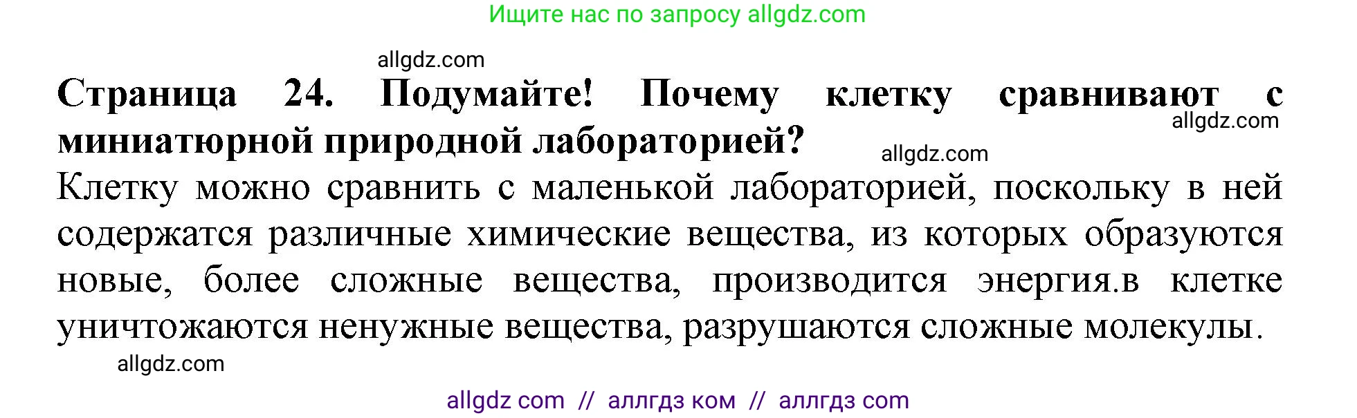 Биология, 6 класс Учебник, авторы: Пасечник Владимир Васильевич, Суматохин Сергей Витальевич, Гапонюк Зоя Георгиевна, Швецов Глеб Геннадьевич, издательство Просвещение, Москва, 2023, белого цвета, страница 24, Решение 1