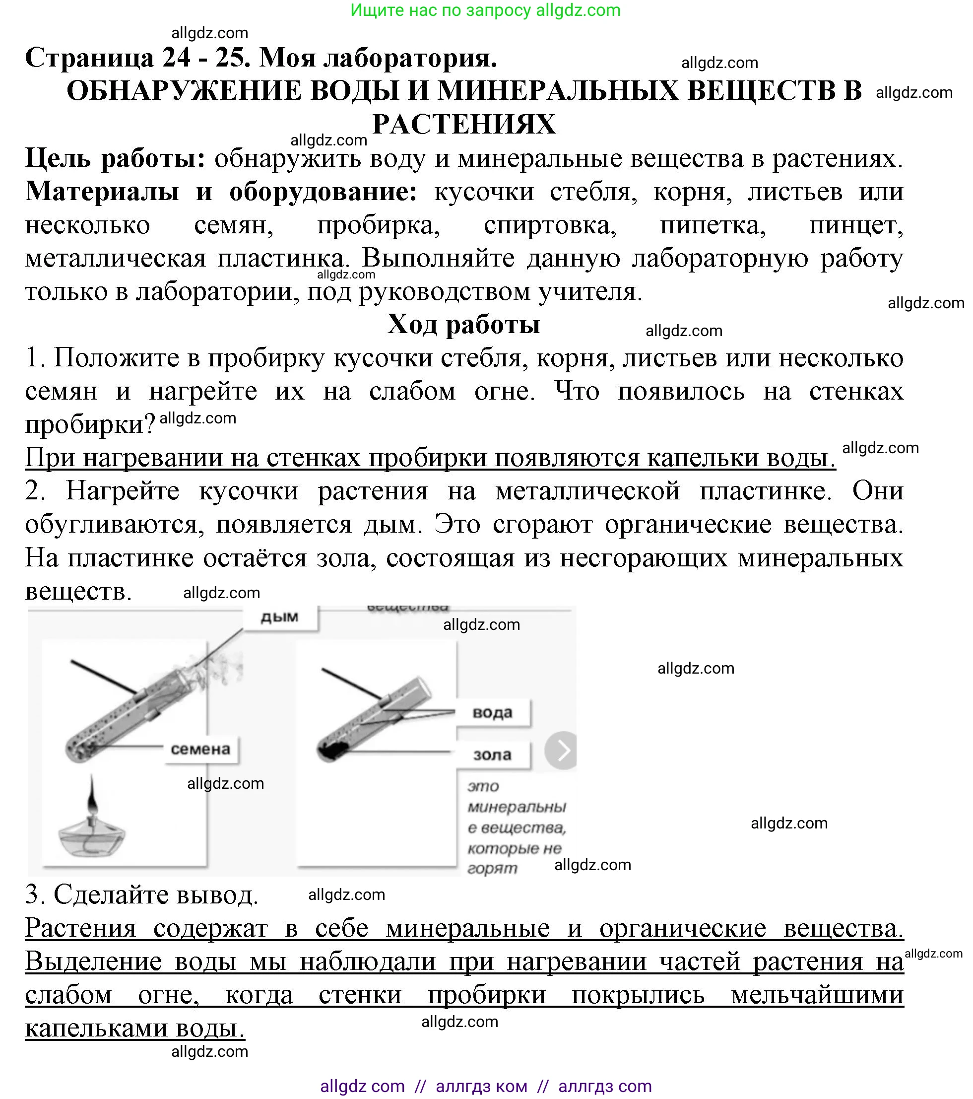 Биология, 6 класс Учебник, авторы: Пасечник Владимир Васильевич, Суматохин Сергей Витальевич, Гапонюк Зоя Георгиевна, Швецов Глеб Геннадьевич, издательство Просвещение, Москва, 2023, белого цвета, страница 24, Решение 1