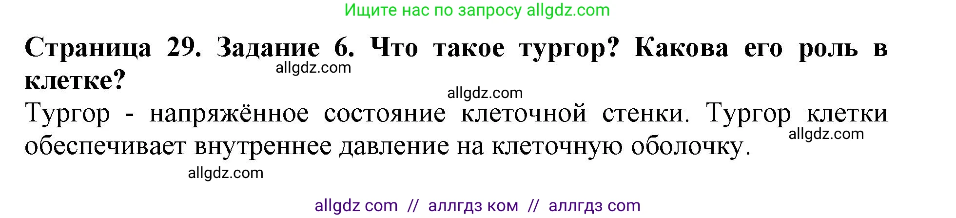 Биология, 6 класс Учебник, авторы: Пасечник Владимир Васильевич, Суматохин Сергей Витальевич, Гапонюк Зоя Георгиевна, Швецов Глеб Геннадьевич, издательство Просвещение, Москва, 2023, белого цвета, страница 29, номер 6, Решение 1