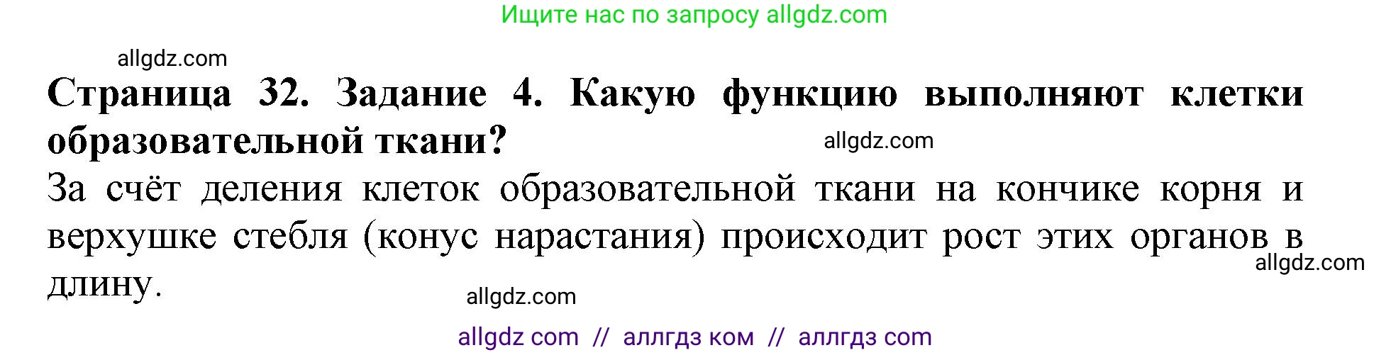 Биология, 6 класс Учебник, авторы: Пасечник Владимир Васильевич, Суматохин Сергей Витальевич, Гапонюк Зоя Георгиевна, Швецов Глеб Геннадьевич, издательство Просвещение, Москва, 2023, белого цвета, страница 32, номер 4, Решение 1
