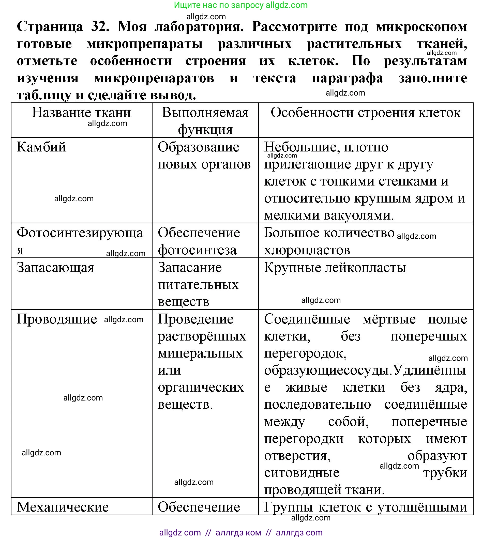 Биология, 6 класс Учебник, авторы: Пасечник Владимир Васильевич, Суматохин Сергей Витальевич, Гапонюк Зоя Георгиевна, Швецов Глеб Геннадьевич, издательство Просвещение, Москва, 2023, белого цвета, страница 32, Решение 1