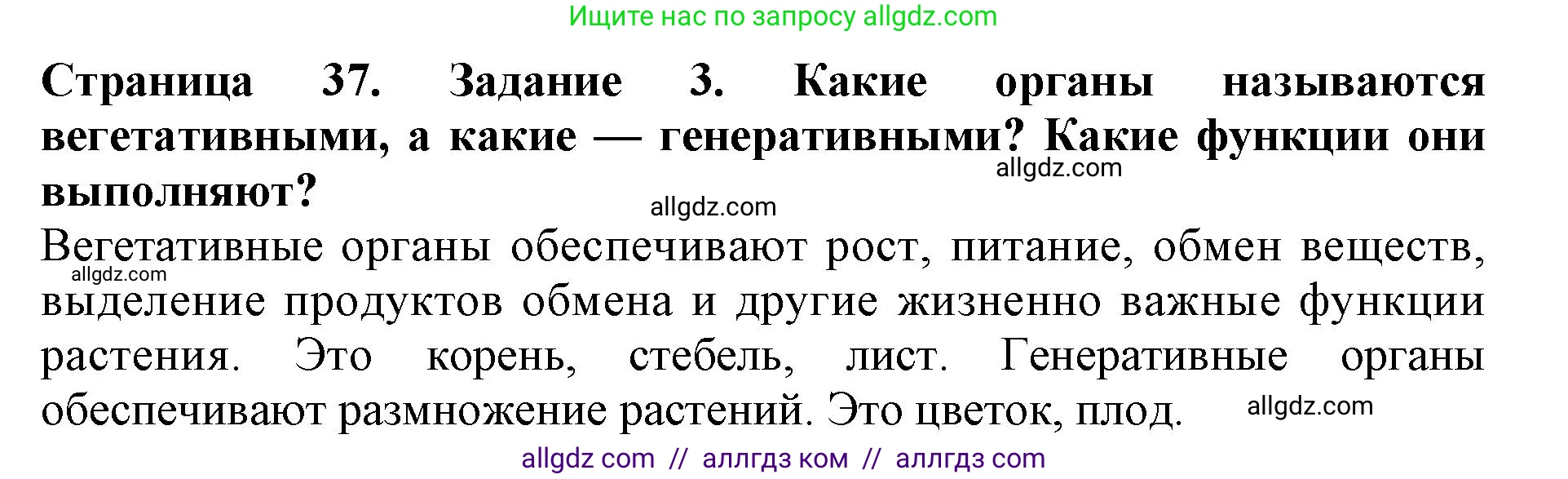 Биология, 6 класс Учебник, авторы: Пасечник Владимир Васильевич, Суматохин Сергей Витальевич, Гапонюк Зоя Георгиевна, Швецов Глеб Геннадьевич, издательство Просвещение, Москва, 2023, белого цвета, страница 37, номер 3, Решение 1
