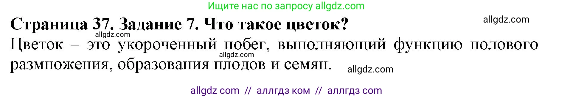 Биология, 6 класс Учебник, авторы: Пасечник Владимир Васильевич, Суматохин Сергей Витальевич, Гапонюк Зоя Георгиевна, Швецов Глеб Геннадьевич, издательство Просвещение, Москва, 2023, белого цвета, страница 37, номер 7, Решение 1