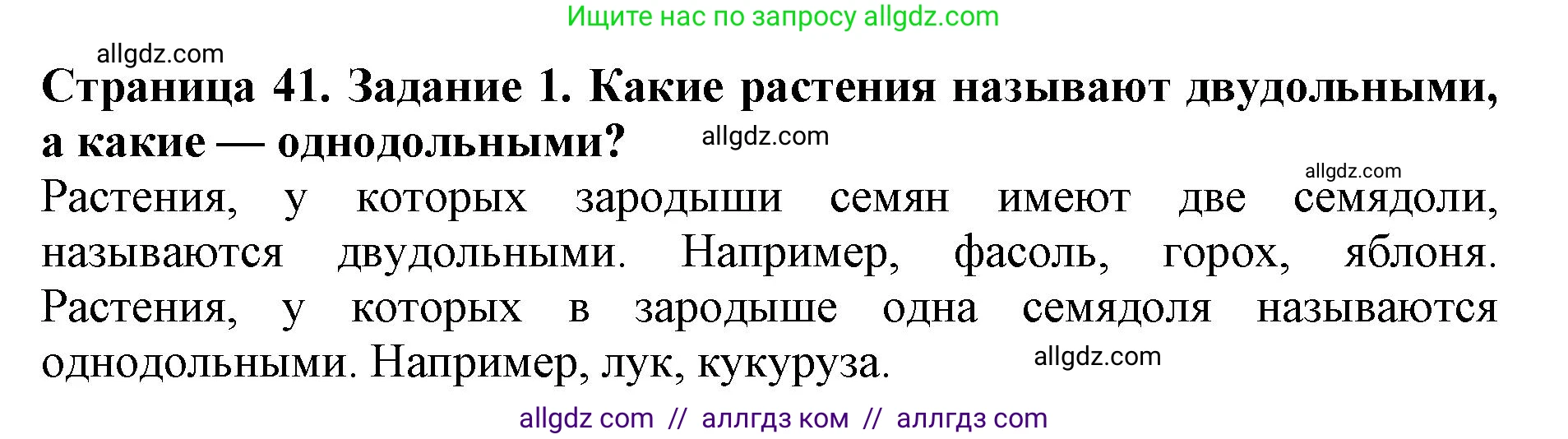 Биология, 6 класс Учебник, авторы: Пасечник Владимир Васильевич, Суматохин Сергей Витальевич, Гапонюк Зоя Георгиевна, Швецов Глеб Геннадьевич, издательство Просвещение, Москва, 2023, белого цвета, страница 41, номер 1, Решение 1