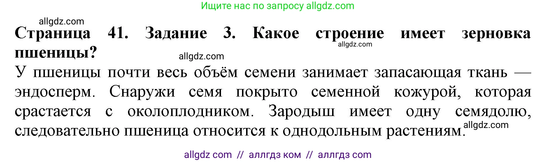 Биология, 6 класс Учебник, авторы: Пасечник Владимир Васильевич, Суматохин Сергей Витальевич, Гапонюк Зоя Георгиевна, Швецов Глеб Геннадьевич, издательство Просвещение, Москва, 2023, белого цвета, страница 41, номер 3, Решение 1