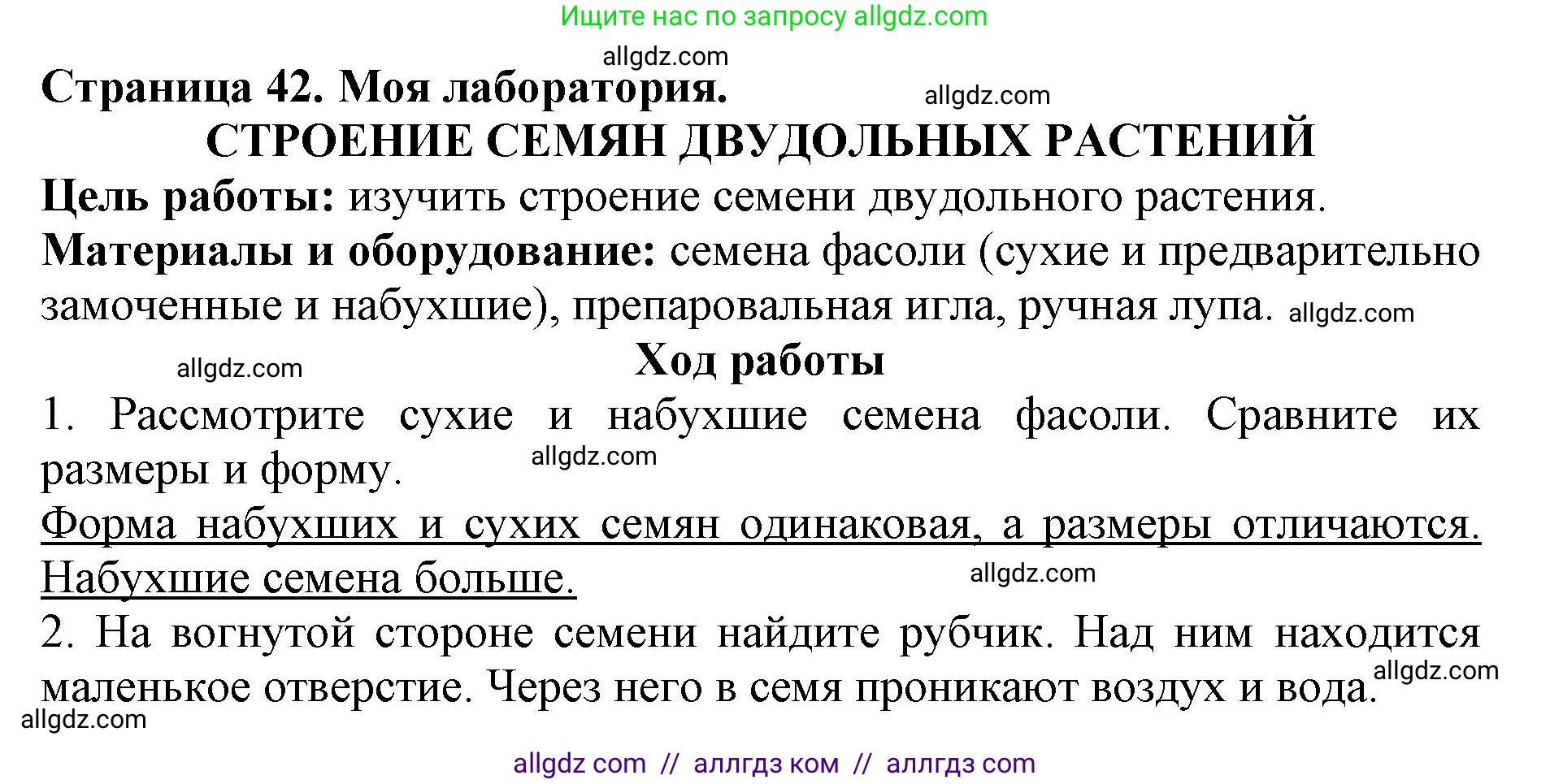 Биология, 6 класс Учебник, авторы: Пасечник Владимир Васильевич, Суматохин Сергей Витальевич, Гапонюк Зоя Георгиевна, Швецов Глеб Геннадьевич, издательство Просвещение, Москва, 2023, белого цвета, страница 42, Решение 1