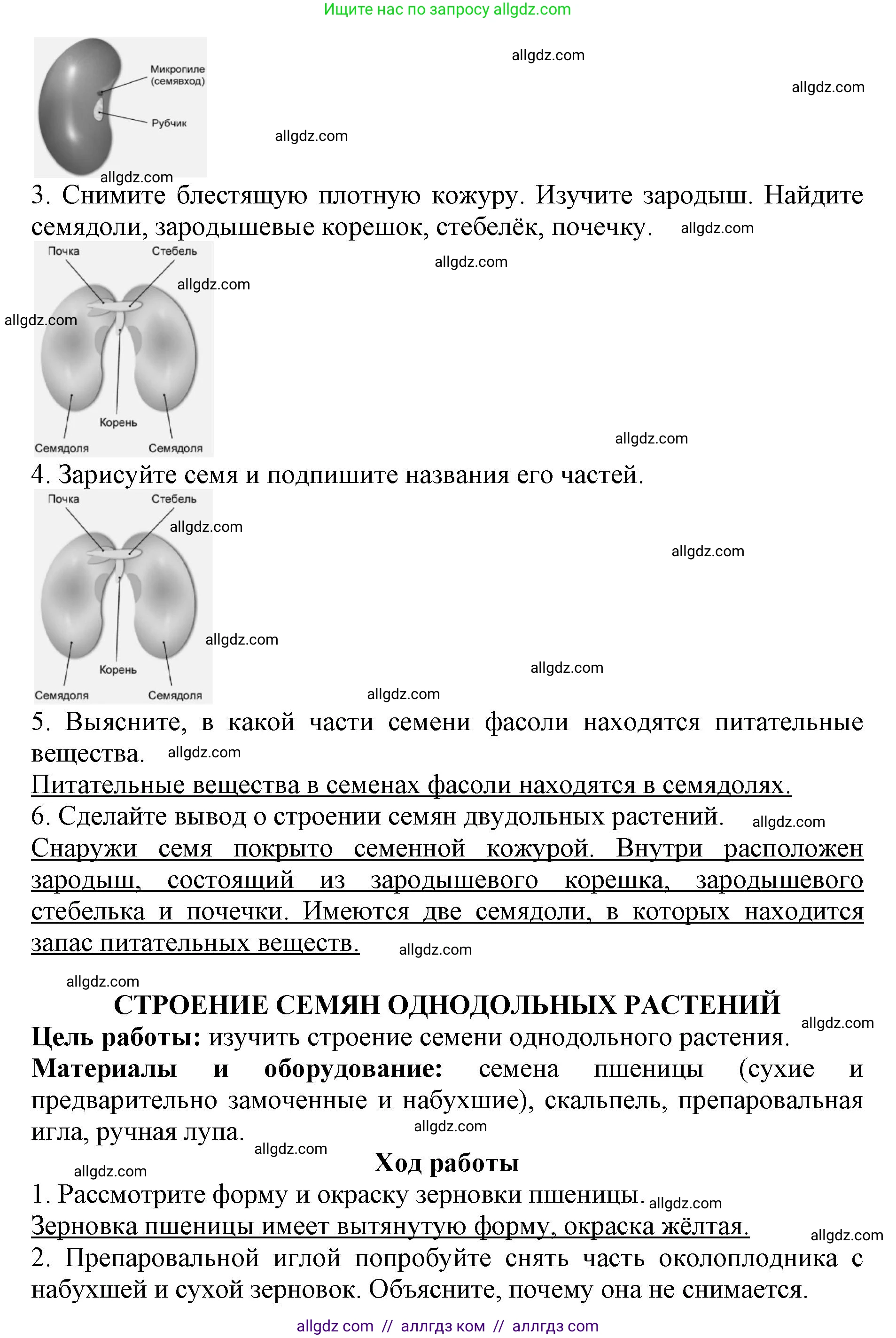 Биология, 6 класс Учебник, авторы: Пасечник Владимир Васильевич, Суматохин Сергей Витальевич, Гапонюк Зоя Георгиевна, Швецов Глеб Геннадьевич, издательство Просвещение, Москва, 2023, белого цвета, страница 42, Решение 1 (продолжение 2)
