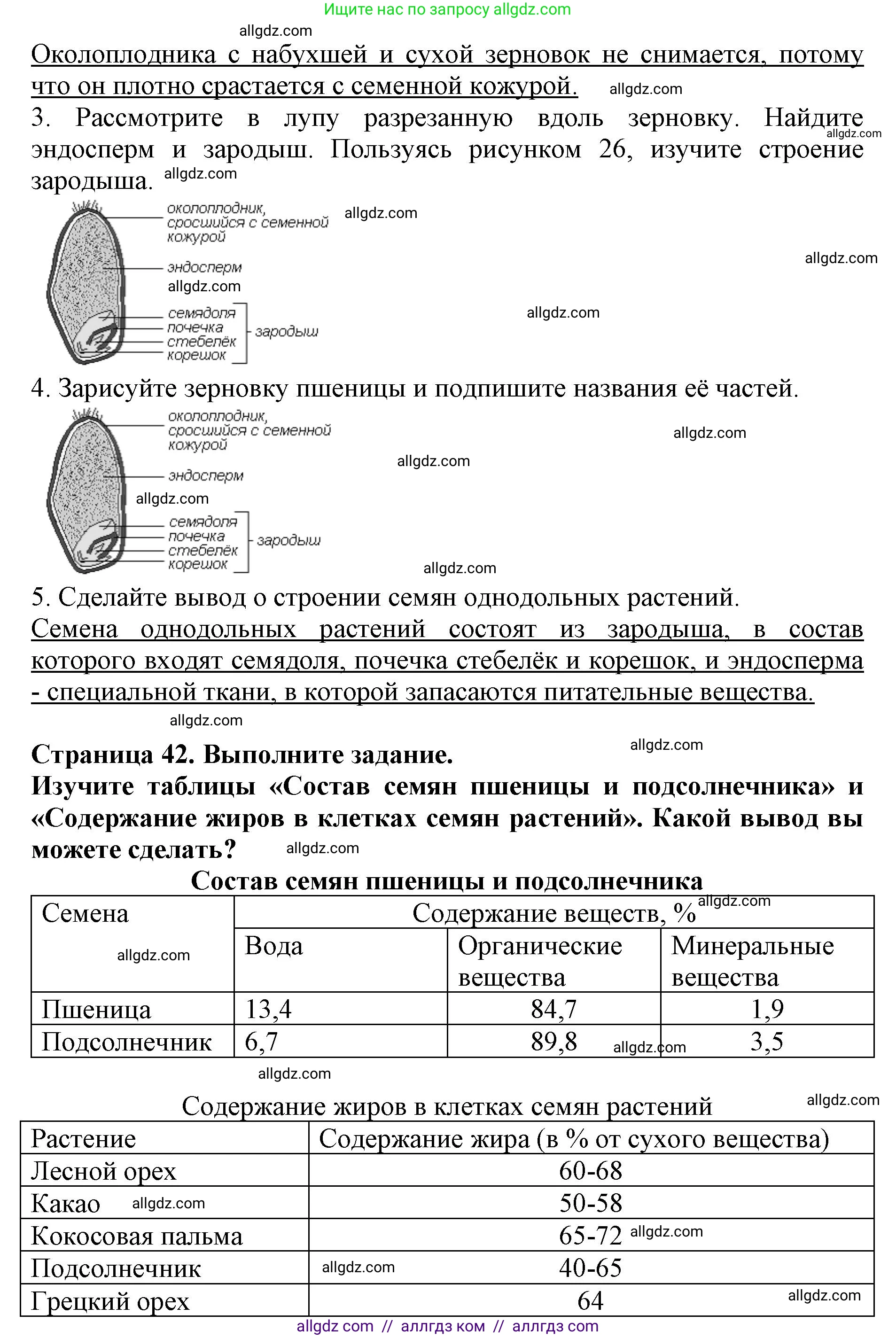 Биология, 6 класс Учебник, авторы: Пасечник Владимир Васильевич, Суматохин Сергей Витальевич, Гапонюк Зоя Георгиевна, Швецов Глеб Геннадьевич, издательство Просвещение, Москва, 2023, белого цвета, страница 42, Решение 1 (продолжение 3)