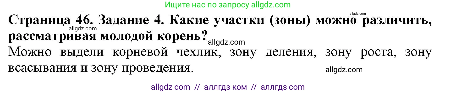 Биология, 6 класс Учебник, авторы: Пасечник Владимир Васильевич, Суматохин Сергей Витальевич, Гапонюк Зоя Георгиевна, Швецов Глеб Геннадьевич, издательство Просвещение, Москва, 2023, белого цвета, страница 46, номер 4, Решение 1