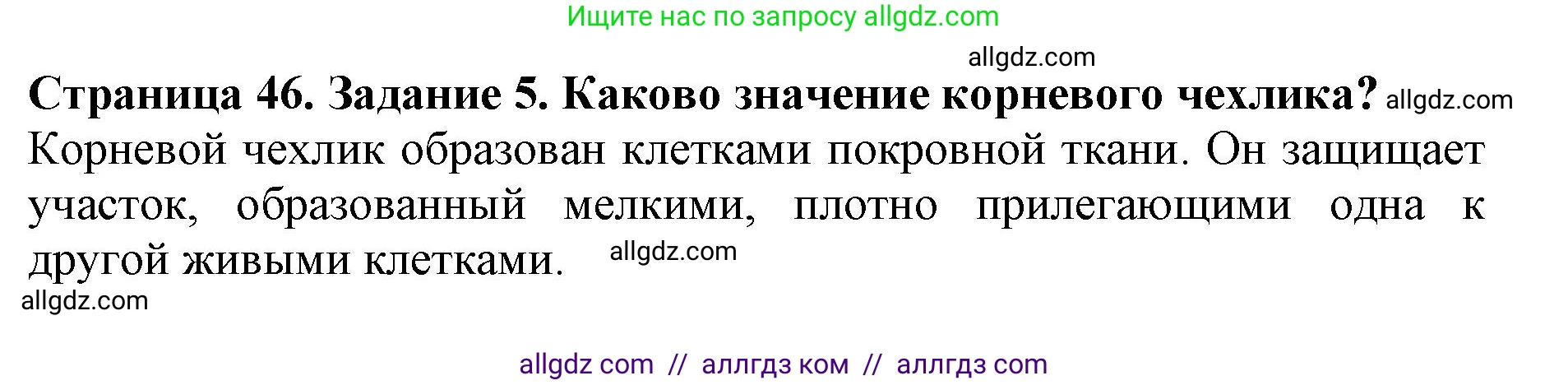 Биология, 6 класс Учебник, авторы: Пасечник Владимир Васильевич, Суматохин Сергей Витальевич, Гапонюк Зоя Георгиевна, Швецов Глеб Геннадьевич, издательство Просвещение, Москва, 2023, белого цвета, страница 46, номер 5, Решение 1