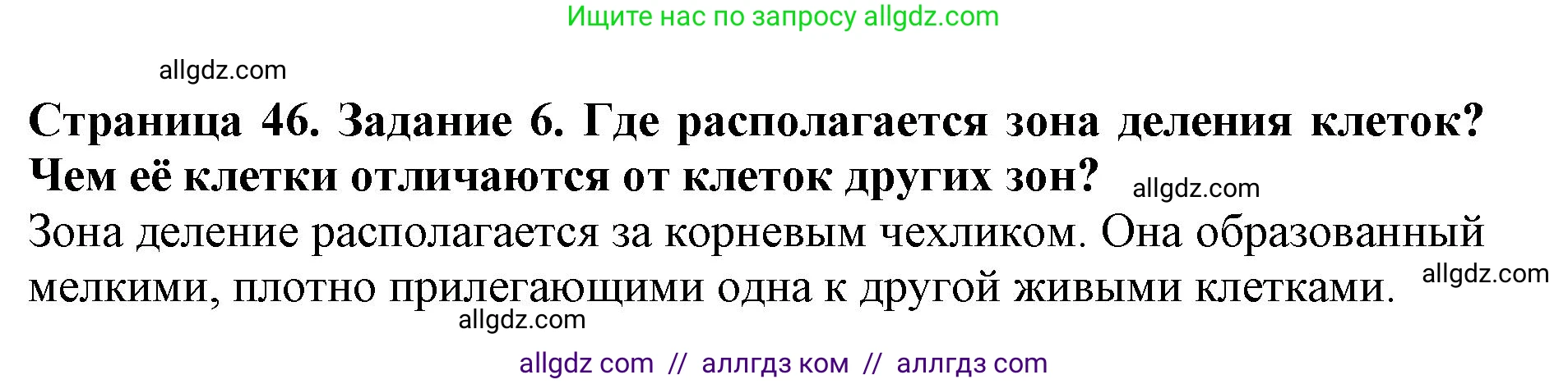 Биология, 6 класс Учебник, авторы: Пасечник Владимир Васильевич, Суматохин Сергей Витальевич, Гапонюк Зоя Георгиевна, Швецов Глеб Геннадьевич, издательство Просвещение, Москва, 2023, белого цвета, страница 46, номер 6, Решение 1