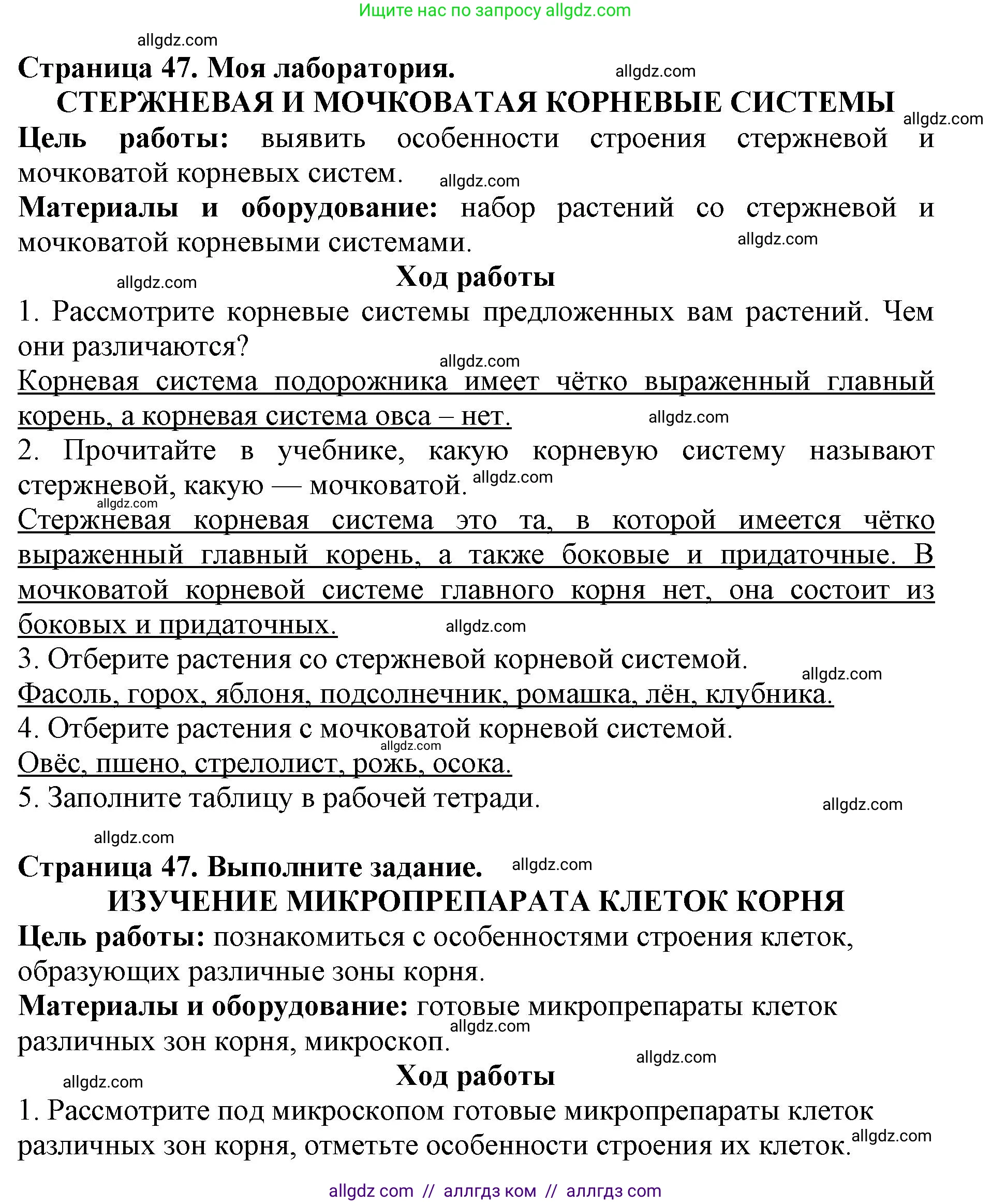 Биология, 6 класс Учебник, авторы: Пасечник Владимир Васильевич, Суматохин Сергей Витальевич, Гапонюк Зоя Георгиевна, Швецов Глеб Геннадьевич, издательство Просвещение, Москва, 2023, белого цвета, страница 47, Решение 1