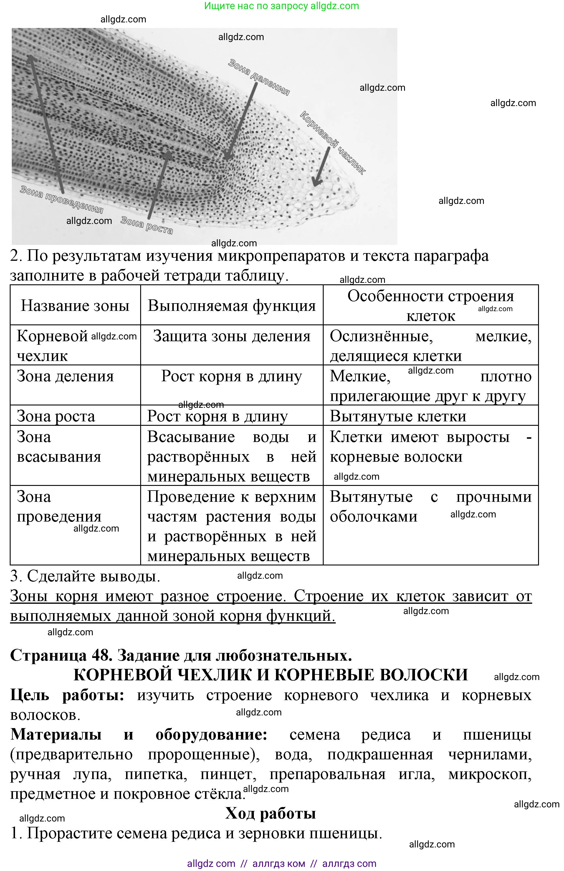 Биология, 6 класс Учебник, авторы: Пасечник Владимир Васильевич, Суматохин Сергей Витальевич, Гапонюк Зоя Георгиевна, Швецов Глеб Геннадьевич, издательство Просвещение, Москва, 2023, белого цвета, страница 47, Решение 1 (продолжение 2)