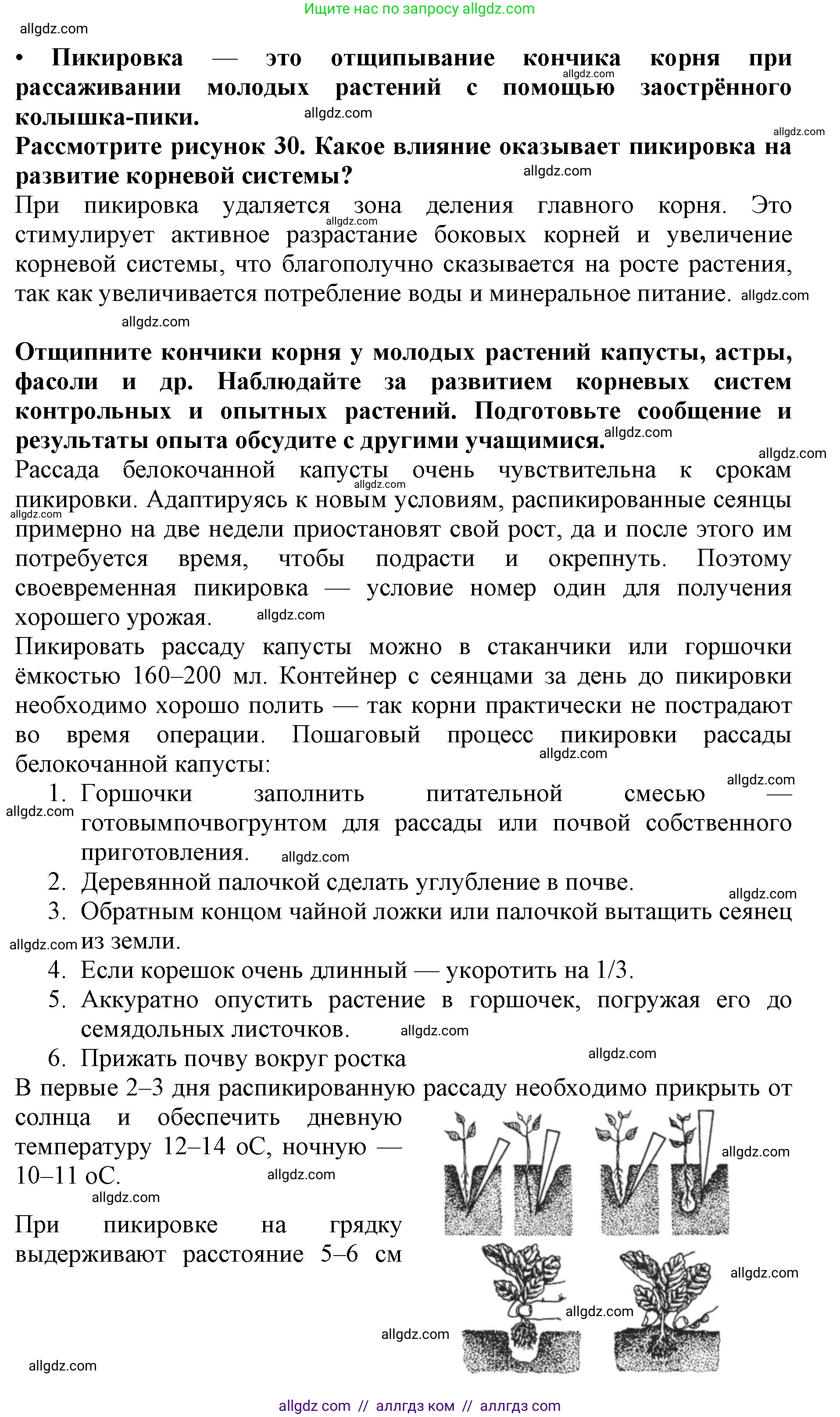 Биология, 6 класс Учебник, авторы: Пасечник Владимир Васильевич, Суматохин Сергей Витальевич, Гапонюк Зоя Георгиевна, Швецов Глеб Геннадьевич, издательство Просвещение, Москва, 2023, белого цвета, страница 47, Решение 1 (продолжение 4)