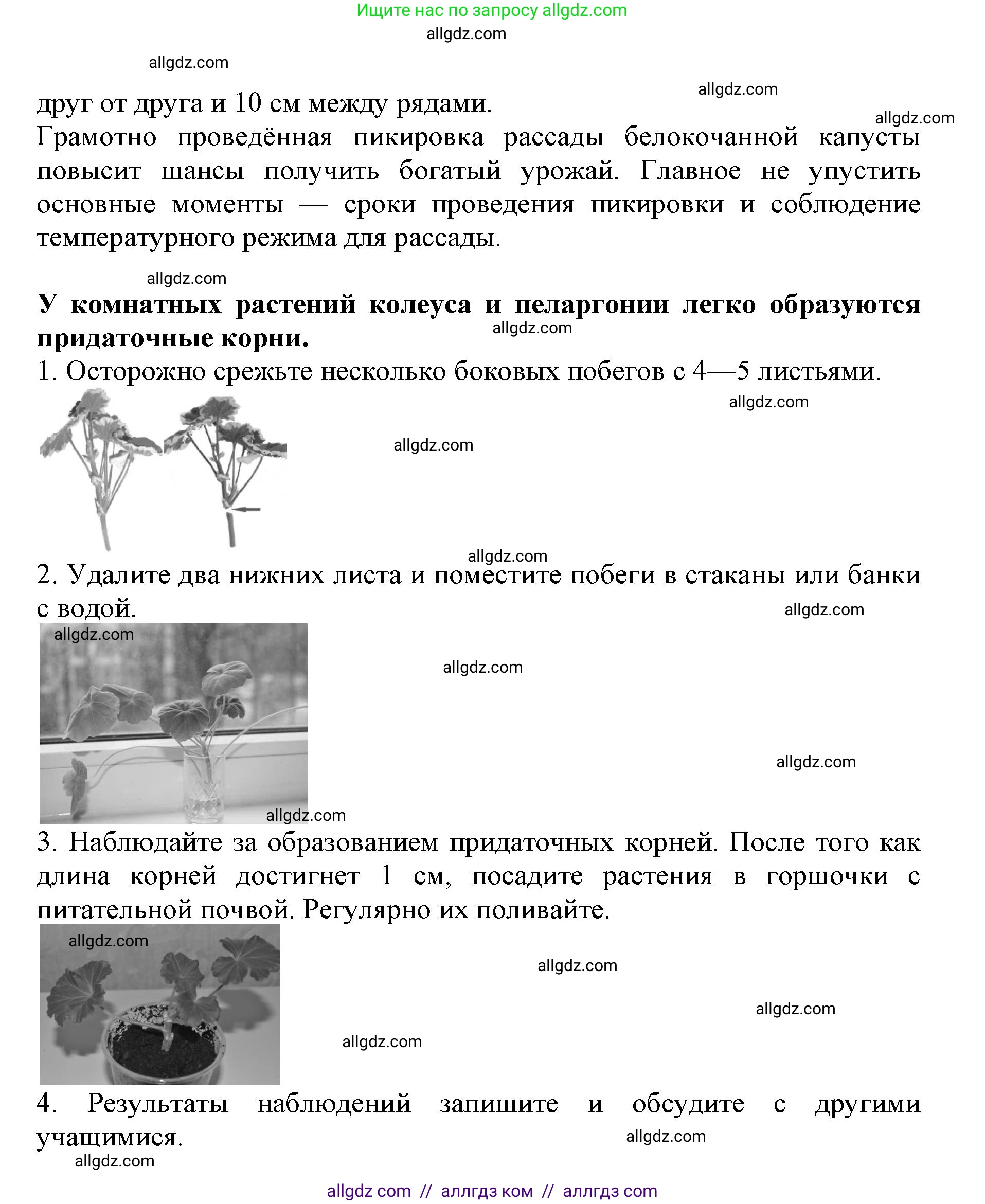 Биология, 6 класс Учебник, авторы: Пасечник Владимир Васильевич, Суматохин Сергей Витальевич, Гапонюк Зоя Георгиевна, Швецов Глеб Геннадьевич, издательство Просвещение, Москва, 2023, белого цвета, страница 47, Решение 1 (продолжение 5)
