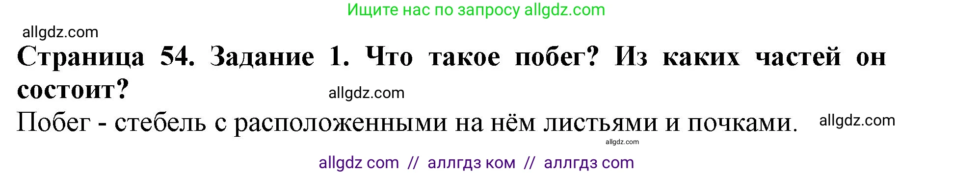 Биология, 6 класс Учебник, авторы: Пасечник Владимир Васильевич, Суматохин Сергей Витальевич, Гапонюк Зоя Георгиевна, Швецов Глеб Геннадьевич, издательство Просвещение, Москва, 2023, белого цвета, страница 54, номер 1, Решение 1