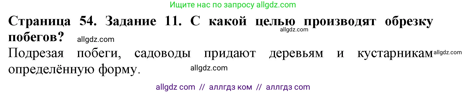 Биология, 6 класс Учебник, авторы: Пасечник Владимир Васильевич, Суматохин Сергей Витальевич, Гапонюк Зоя Георгиевна, Швецов Глеб Геннадьевич, издательство Просвещение, Москва, 2023, белого цвета, страница 54, номер 11, Решение 1