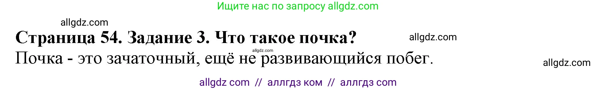 Биология, 6 класс Учебник, авторы: Пасечник Владимир Васильевич, Суматохин Сергей Витальевич, Гапонюк Зоя Георгиевна, Швецов Глеб Геннадьевич, издательство Просвещение, Москва, 2023, белого цвета, страница 54, номер 3, Решение 1