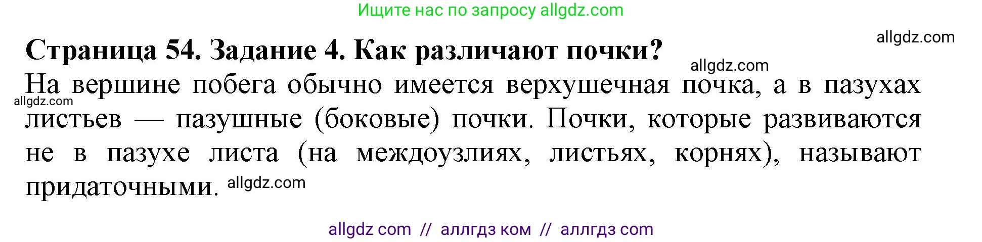 Биология, 6 класс Учебник, авторы: Пасечник Владимир Васильевич, Суматохин Сергей Витальевич, Гапонюк Зоя Георгиевна, Швецов Глеб Геннадьевич, издательство Просвещение, Москва, 2023, белого цвета, страница 54, номер 4, Решение 1
