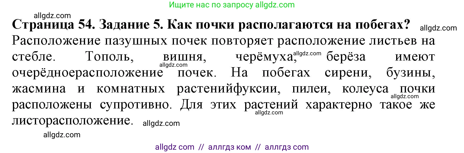 Биология, 6 класс Учебник, авторы: Пасечник Владимир Васильевич, Суматохин Сергей Витальевич, Гапонюк Зоя Георгиевна, Швецов Глеб Геннадьевич, издательство Просвещение, Москва, 2023, белого цвета, страница 54, номер 5, Решение 1
