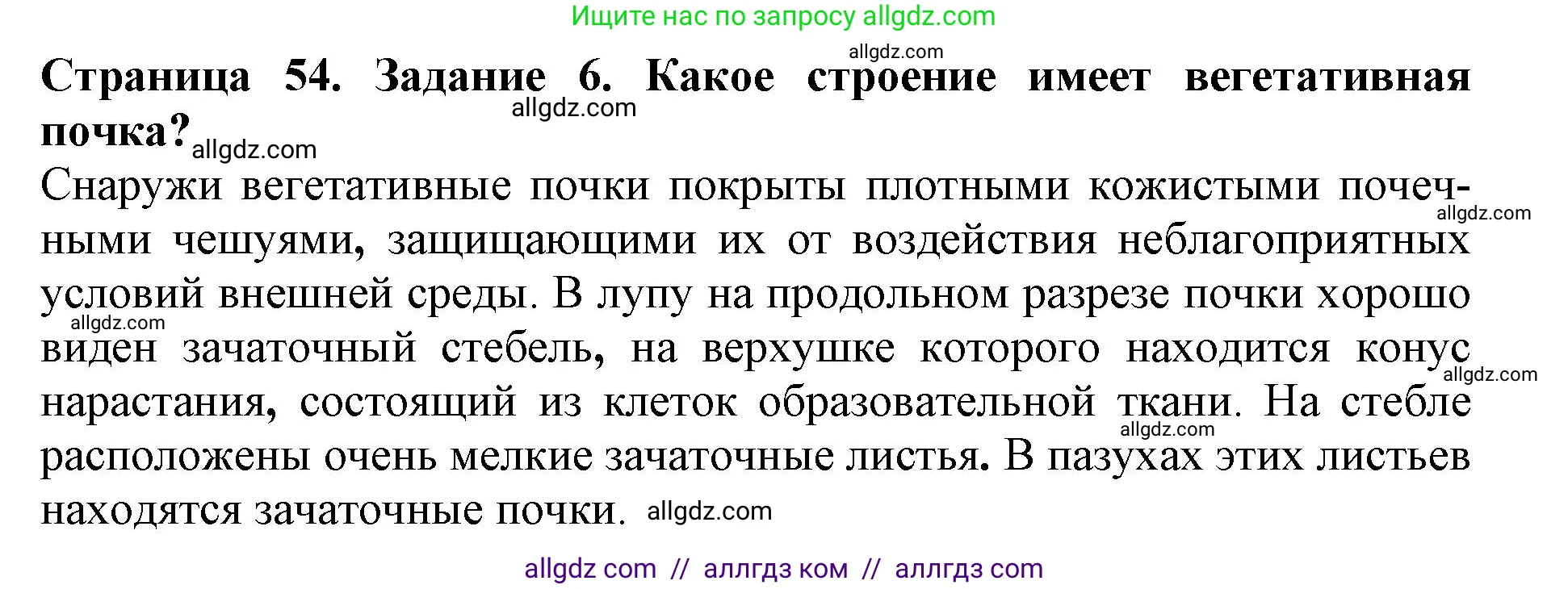 Биология, 6 класс Учебник, авторы: Пасечник Владимир Васильевич, Суматохин Сергей Витальевич, Гапонюк Зоя Георгиевна, Швецов Глеб Геннадьевич, издательство Просвещение, Москва, 2023, белого цвета, страница 54, номер 6, Решение 1