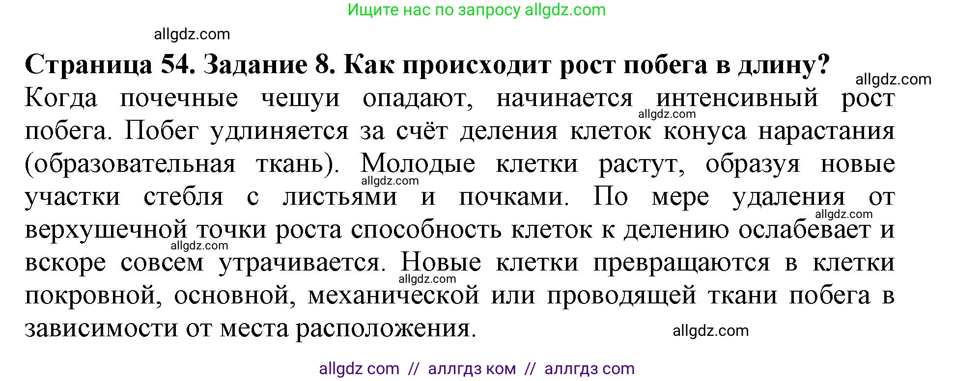 Биология, 6 класс Учебник, авторы: Пасечник Владимир Васильевич, Суматохин Сергей Витальевич, Гапонюк Зоя Георгиевна, Швецов Глеб Геннадьевич, издательство Просвещение, Москва, 2023, белого цвета, страница 54, номер 8, Решение 1