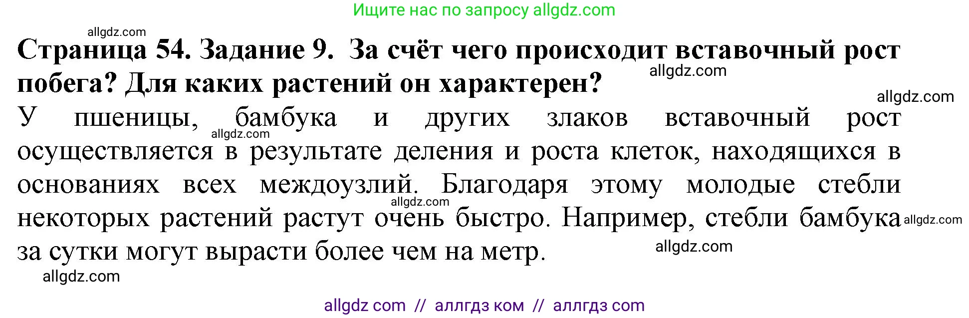 Биология, 6 класс Учебник, авторы: Пасечник Владимир Васильевич, Суматохин Сергей Витальевич, Гапонюк Зоя Георгиевна, Швецов Глеб Геннадьевич, издательство Просвещение, Москва, 2023, белого цвета, страница 54, номер 9, Решение 1