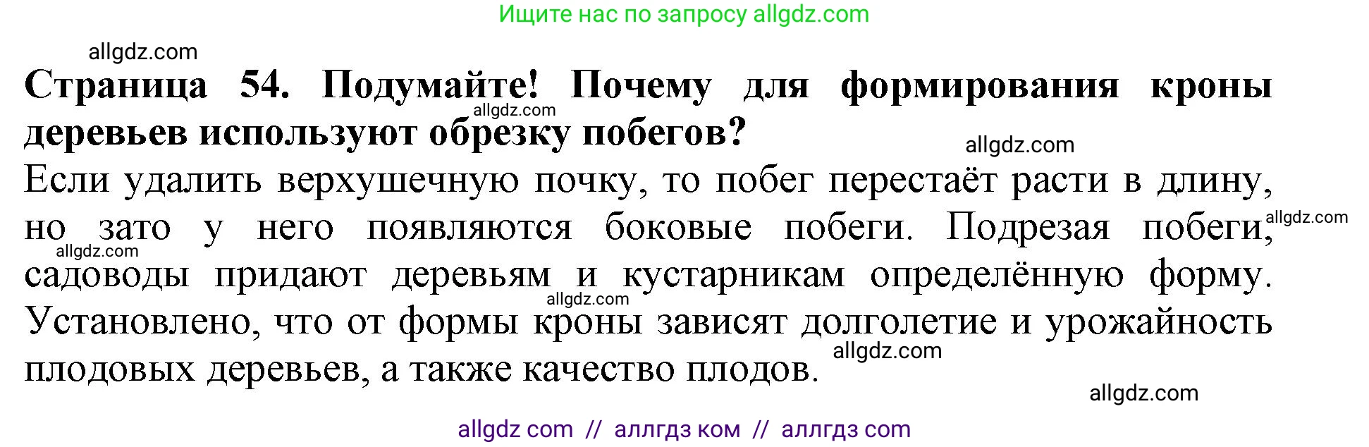 Биология, 6 класс Учебник, авторы: Пасечник Владимир Васильевич, Суматохин Сергей Витальевич, Гапонюк Зоя Георгиевна, Швецов Глеб Геннадьевич, издательство Просвещение, Москва, 2023, белого цвета, страница 54, Решение 1